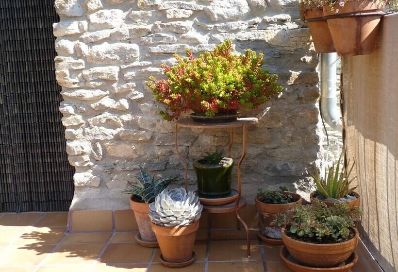 Idyllic Country House In The Foothills Of The Pyrenees