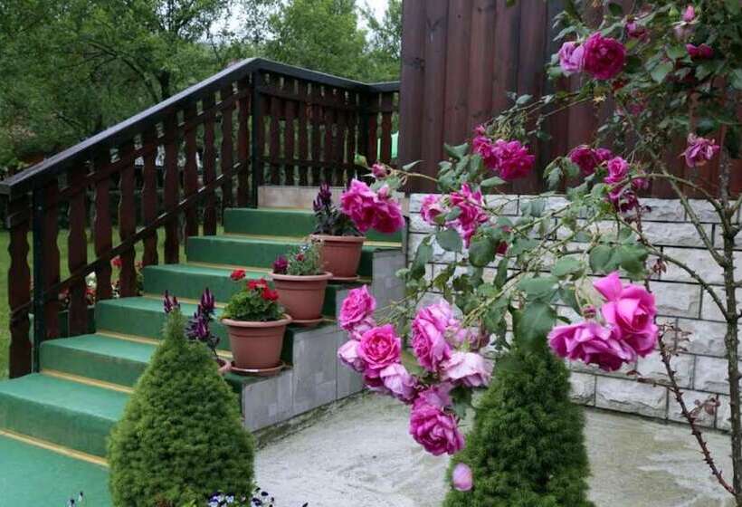 ペンション Adriana Guesthouse