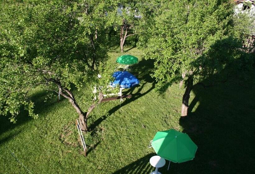 ペンション Adriana Guesthouse