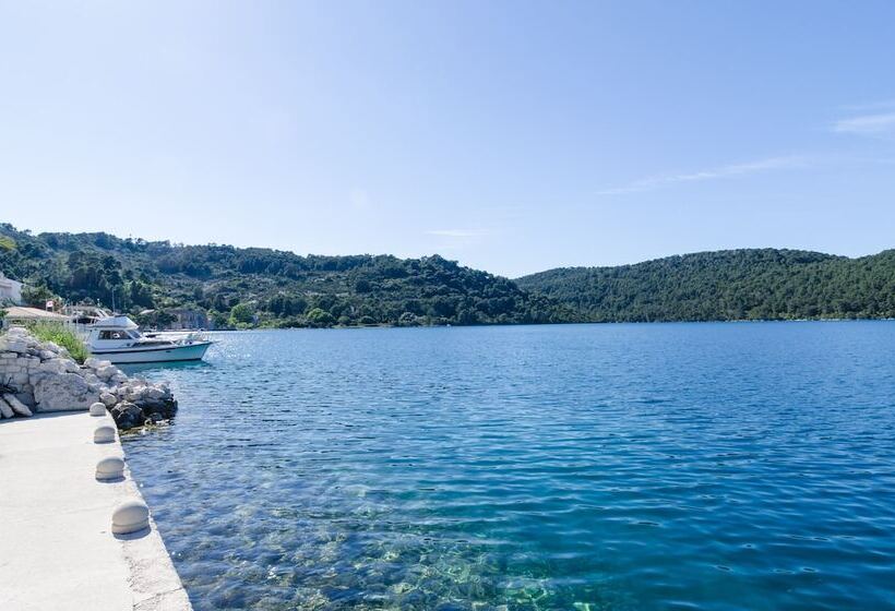 פנסיון Apartments Palma