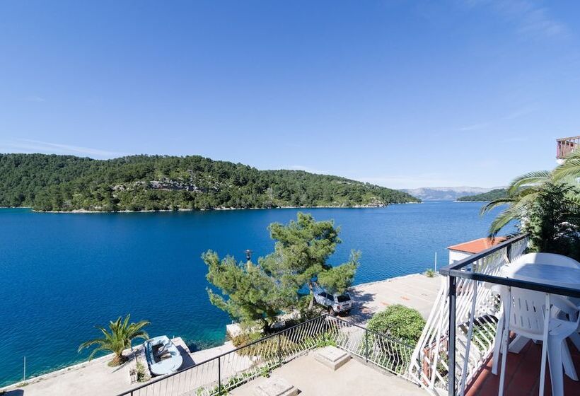 פנסיון Apartments Palma