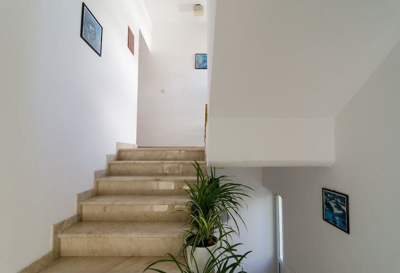 פנסיון Apartments Palma