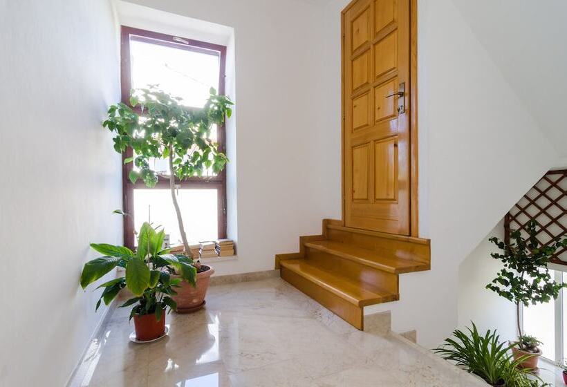 פנסיון Apartments Palma