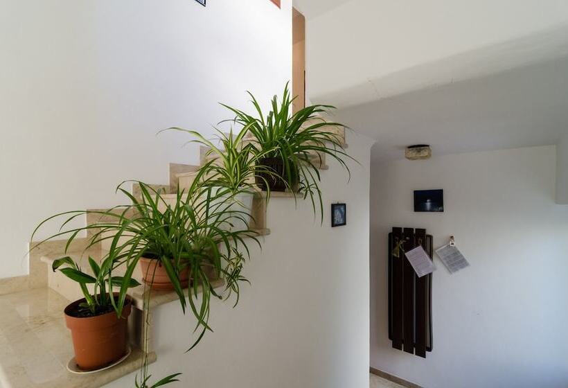 פנסיון Apartments Palma