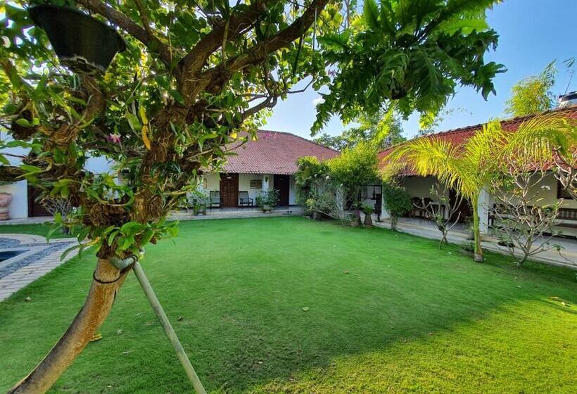 Пансион Bethany 101