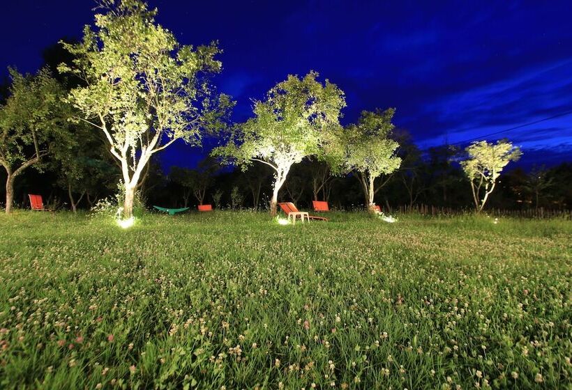 ペンション Conacul Bunicilor