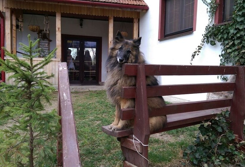 ペンション Conacul Bunicilor