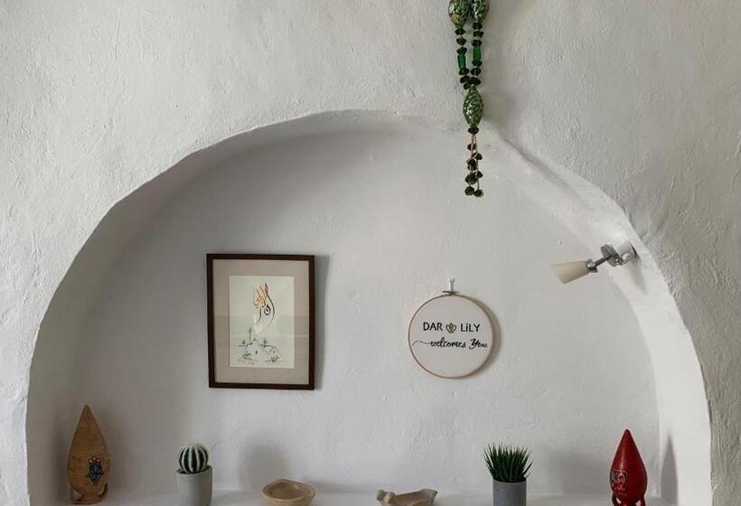 פנסיון Dar Lily