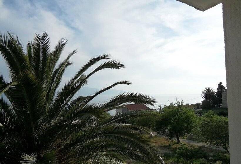 بنسيون Guest House Lidus