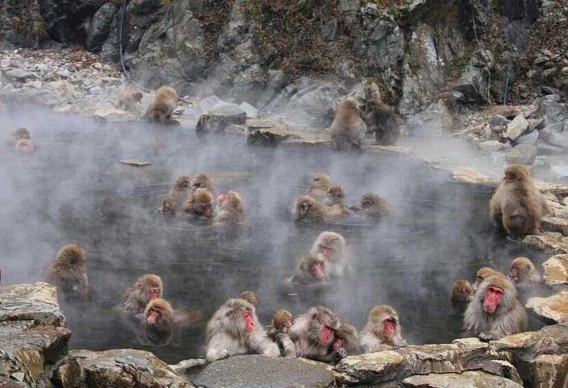 بنسيون Guesthouse Kanoka