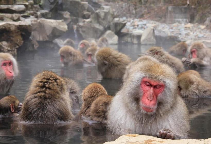 بنسيون Guesthouse Kanoka