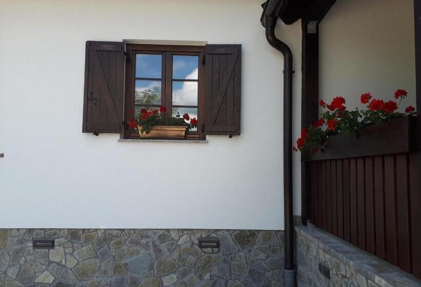 פנסיון House Flora