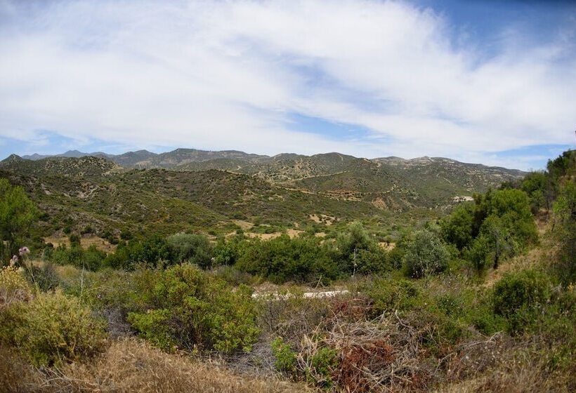 Thyone Uno Bal Cottage