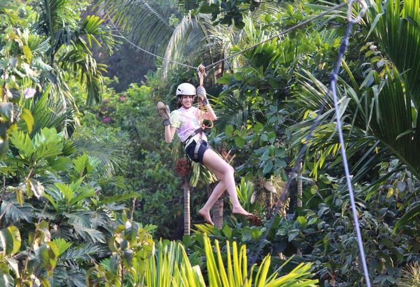 فندق Jungle Book Resort