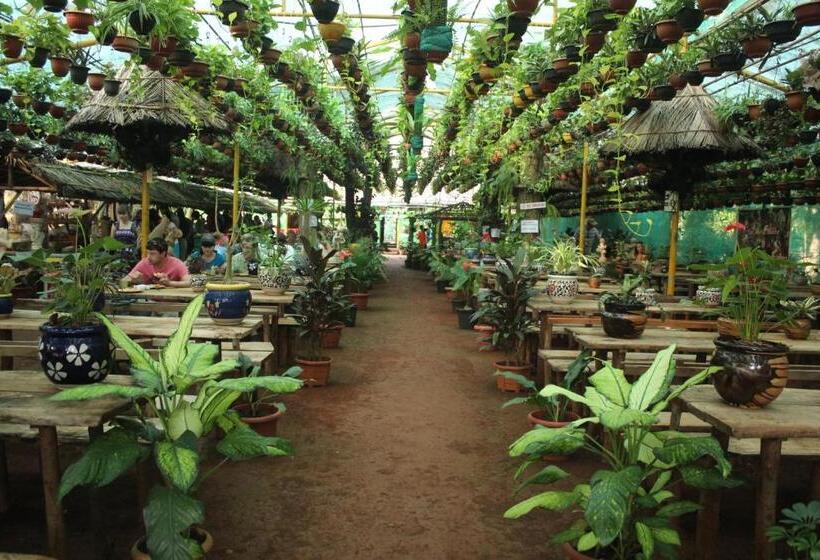 فندق Jungle Book Resort