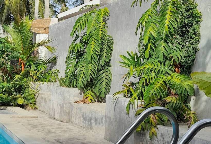 בית מלון כפרי Surf Gangs Arugambay