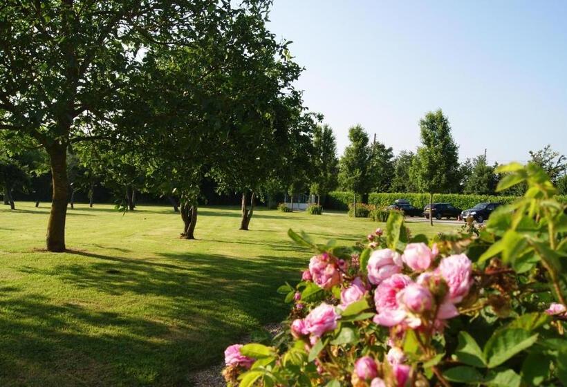 Manoir De La Pataudière B&b