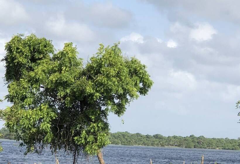 Пансион Captains Bird Safari Lodge