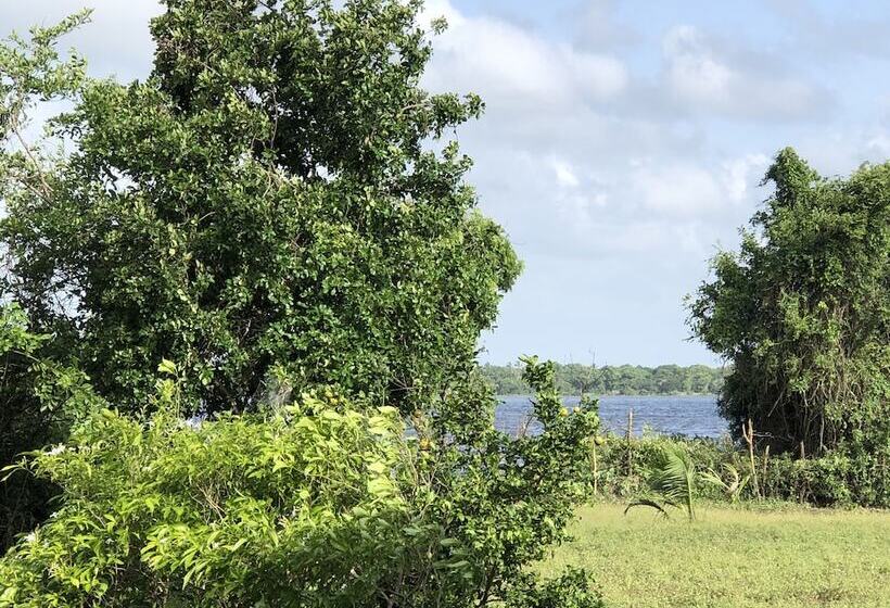 Пансион Captains Bird Safari Lodge