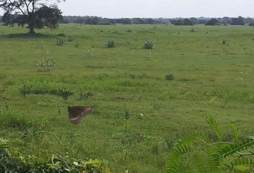 Пансион Captains Bird Safari Lodge