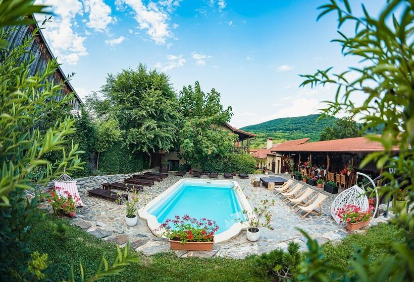 ペンション Casa Dives  Transylvania