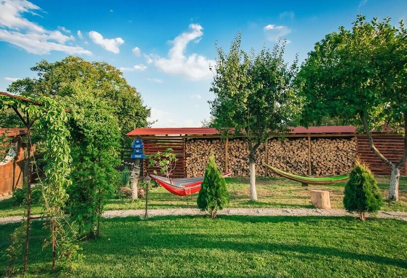 بنسيون Casa Dives  Transylvania