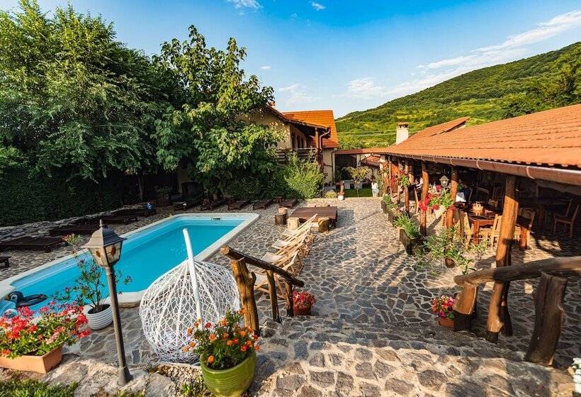 بنسيون Casa Dives  Transylvania