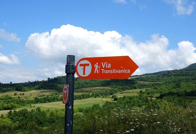 بنسيون Casa Dives  Transylvania