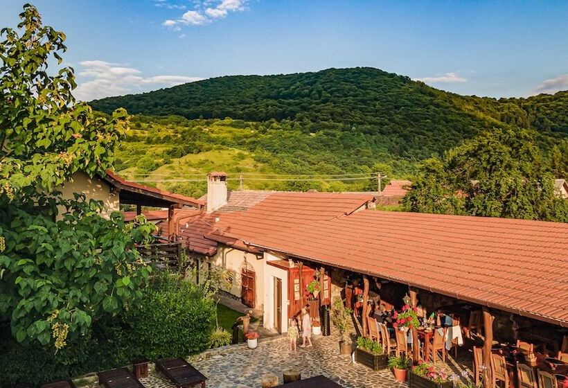 بنسيون Casa Dives  Transylvania