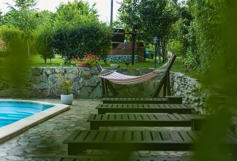 بنسيون Casa Dives  Transylvania