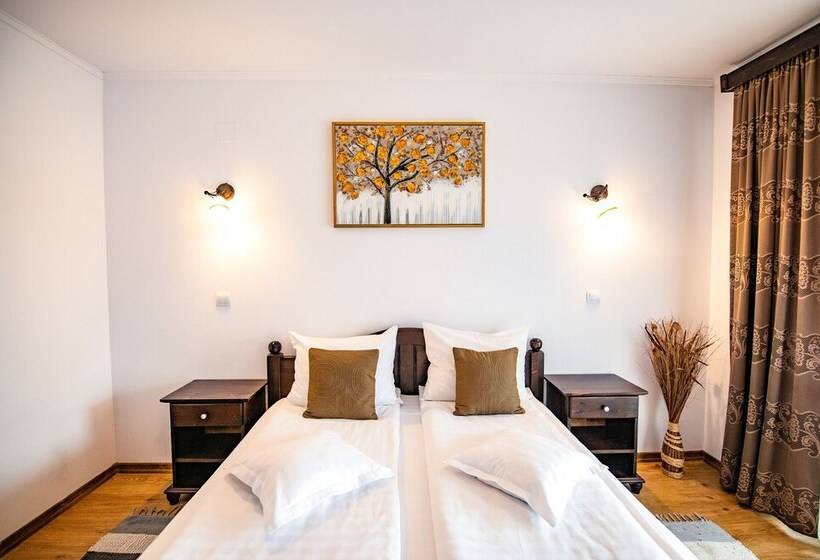 بنسيون Casa Dives Transylvania