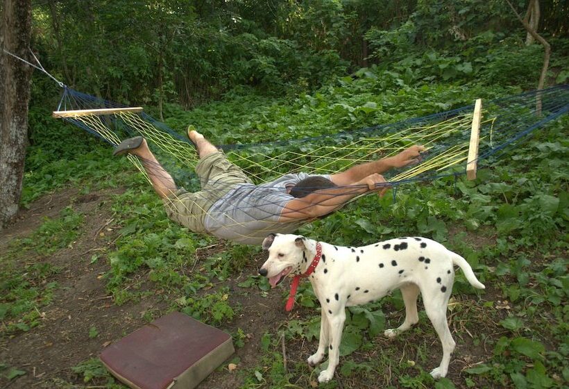 بنسيون Lori Travel Guest House