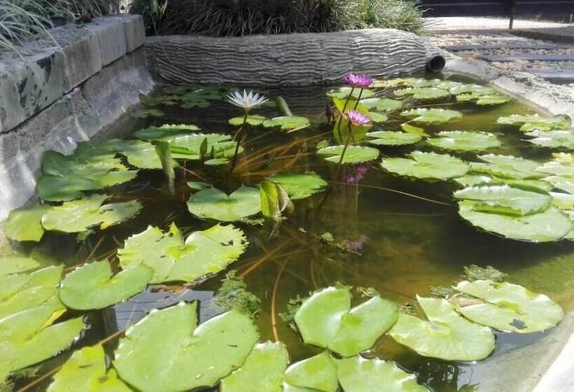 ペンション Mango Roots