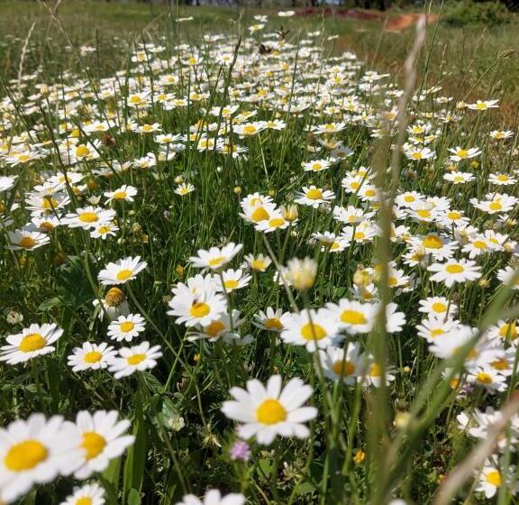 ペンション Ranch Radin