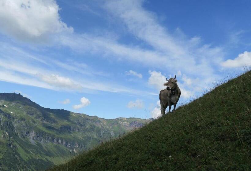 Aktivhostel Hängematt