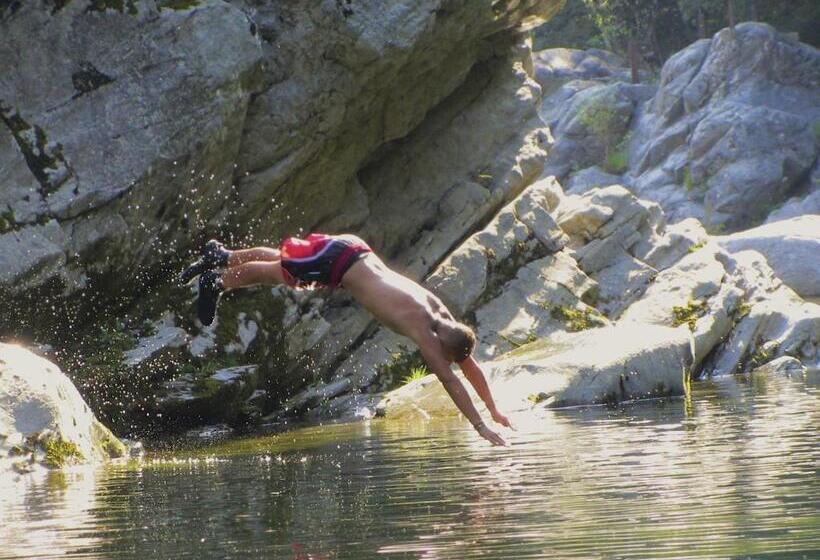 הוסטל Baracca Backpacker