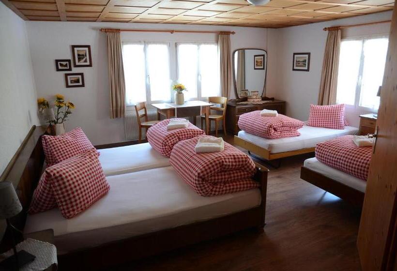فندق صغير Gästehaus Schäfli
