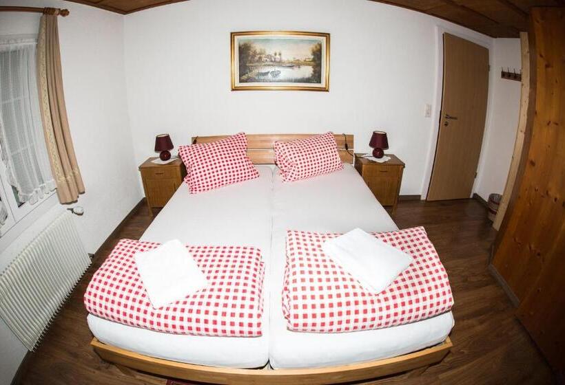 فندق صغير Gästehaus Schäfli