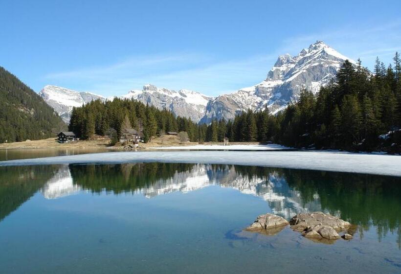 فندق صغير Gästehaus Schäfli