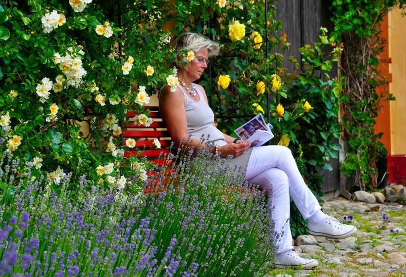 Общежитие Gyllengården