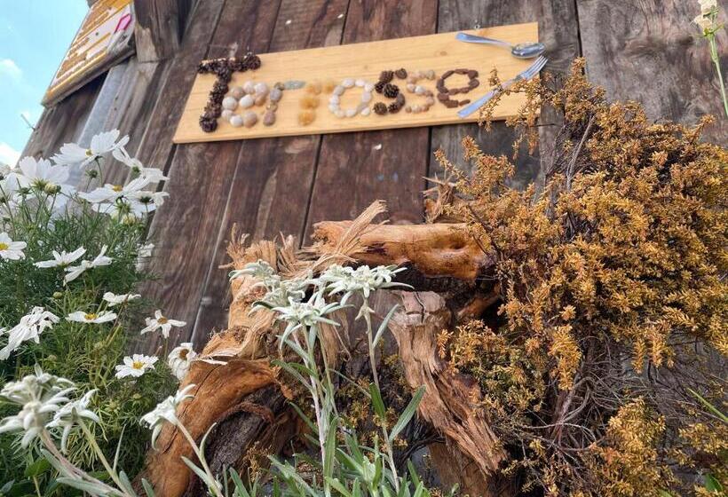 旅馆 Landhuus Frauenkirch