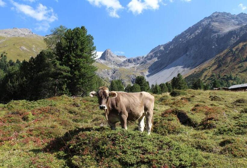 旅馆 Landhuus Frauenkirch