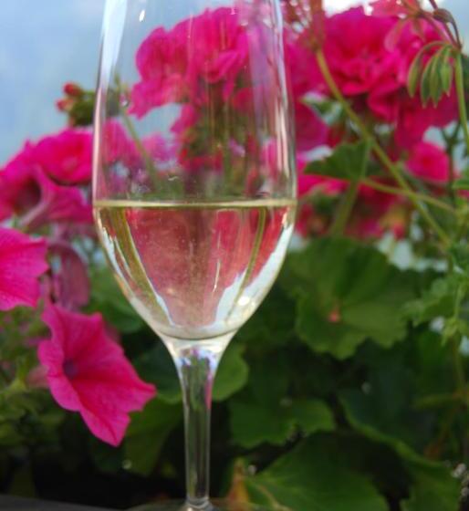 فندق صغير Osteria Anzonico