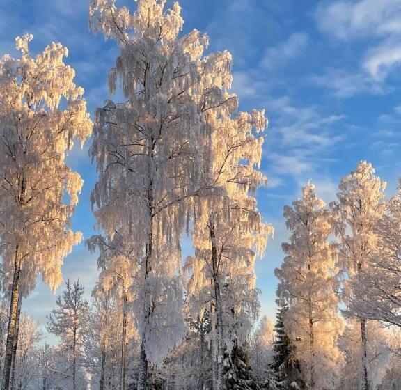 B & B Flattinge Fritidshus