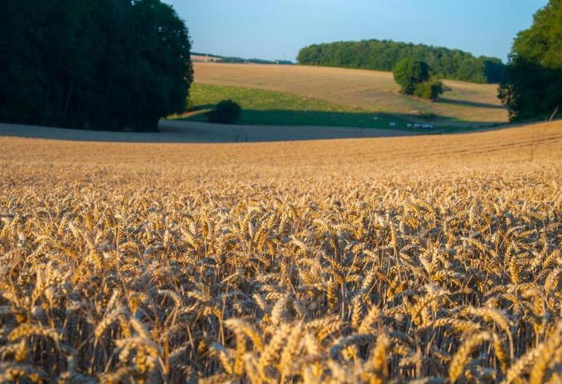 B&b Le Vieux Marronnier