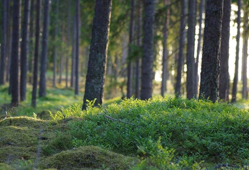 צימר Asa Herrgård