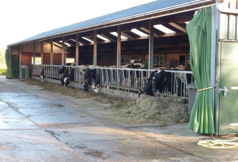 Bed and Breakfast Boerderij De Verwondering