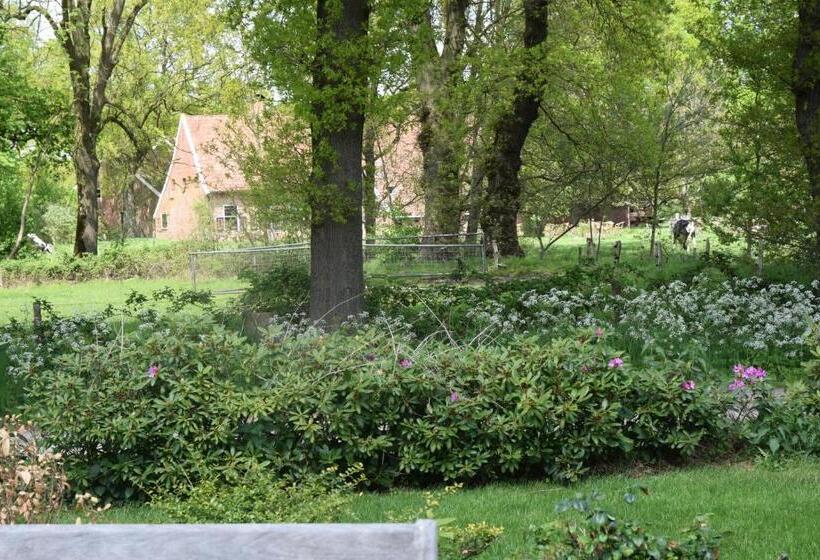 تختخواب و صبحانه De Hiddinghhoeve