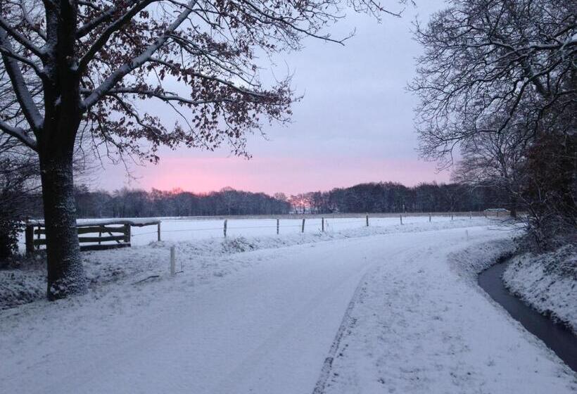 تختخواب و صبحانه De Hiddinghhoeve