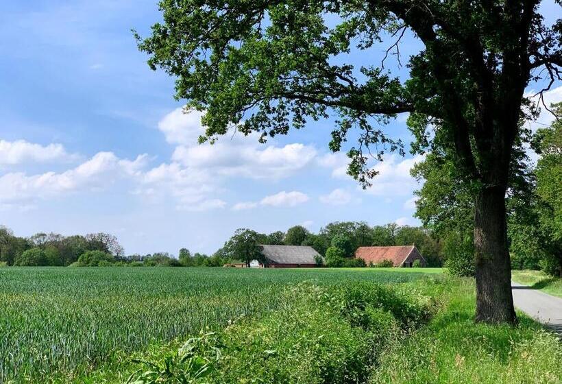 تختخواب و صبحانه De Hiddinghhoeve